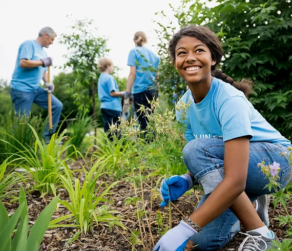 Volunteers gardening outside