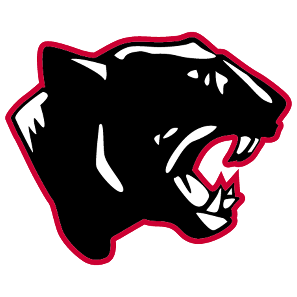 Morehead High School Mascot Panther