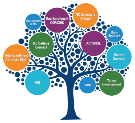 Image of a tree with the words- NC Governor's School, AIG, Credit By Demonstrated Mastery, CCP/CHIS, Advanced Math Legislation, AP/IB/CIE, Honors Courses, Talent Development.  At bottom of images is Advanced Learning and Gifted Education