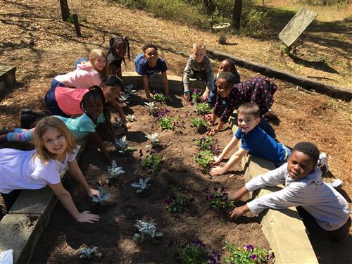 Kids participating in the Green Steps Project by planing in the garden.