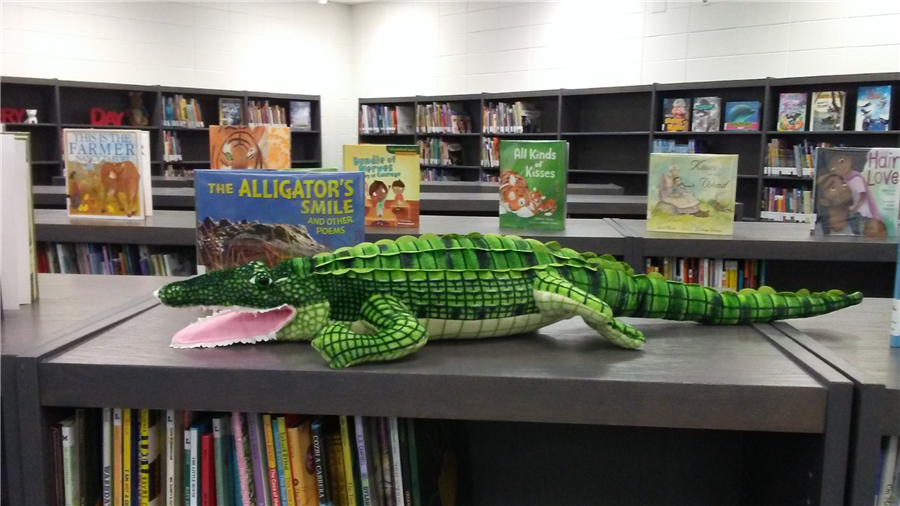 stuffed alligator on a bookshelf