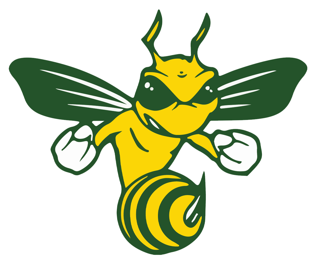 aiken high logo