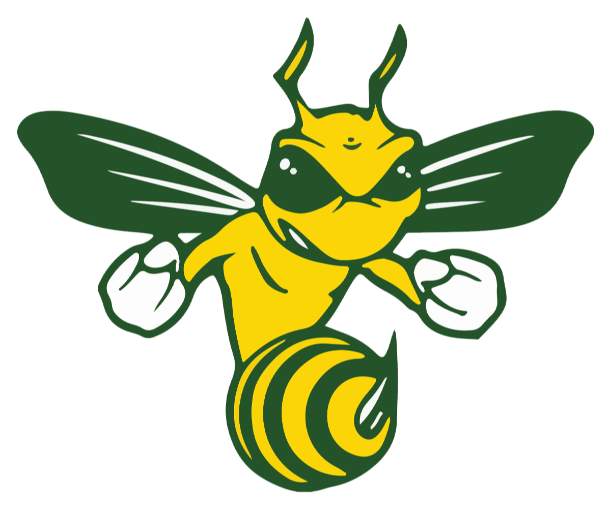 aiken high logo