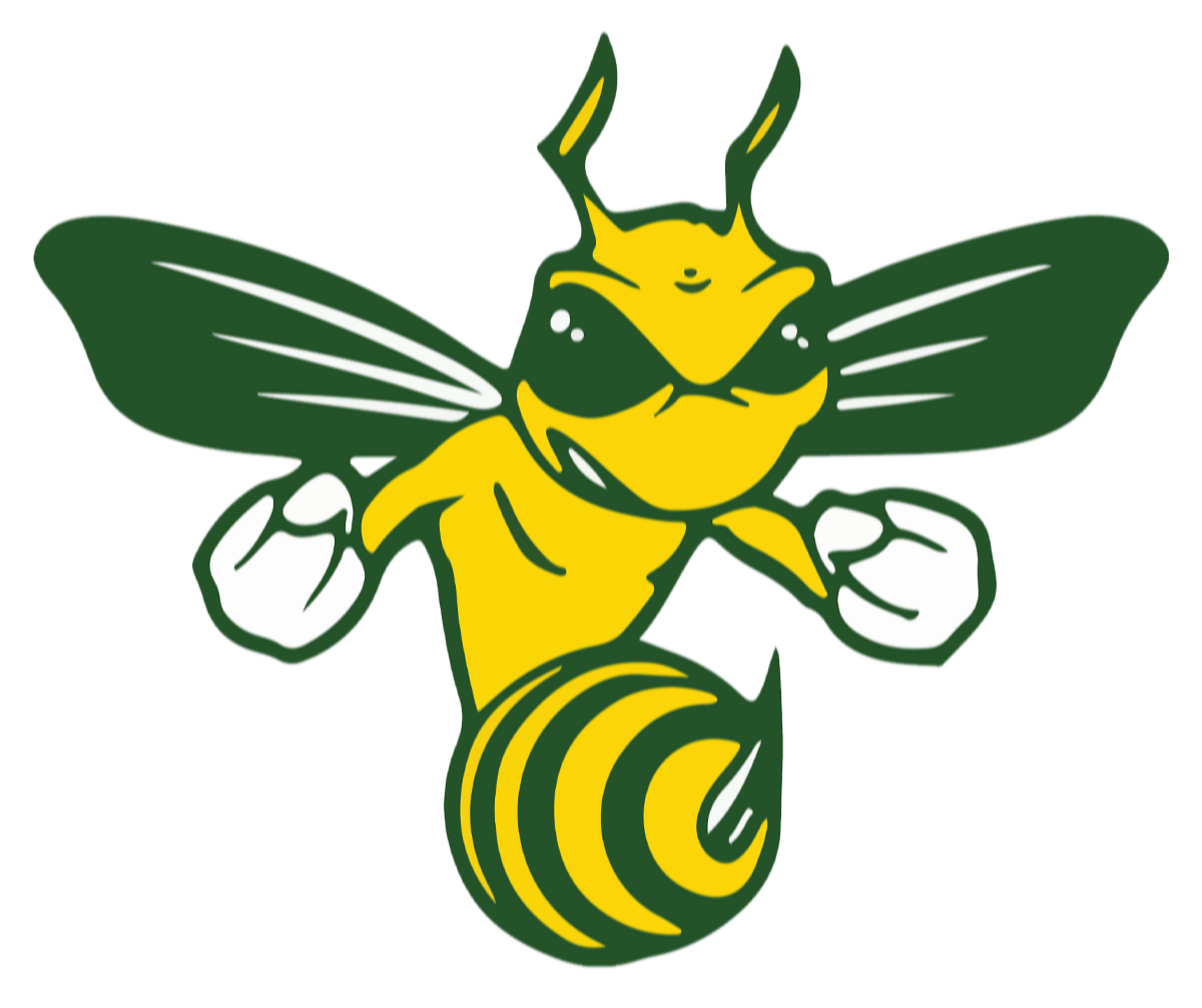 aiken high logo