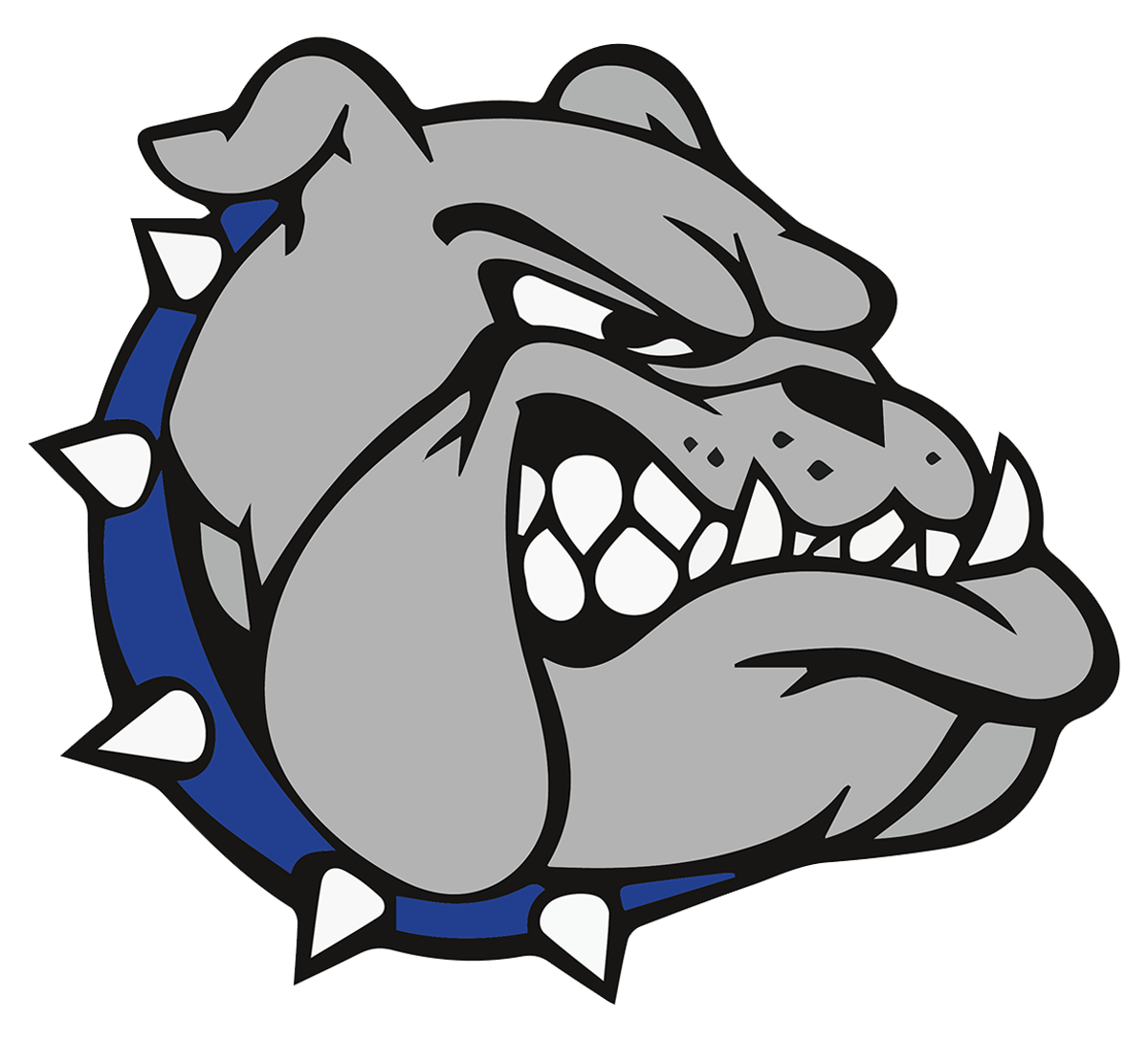 silver bluff high logo