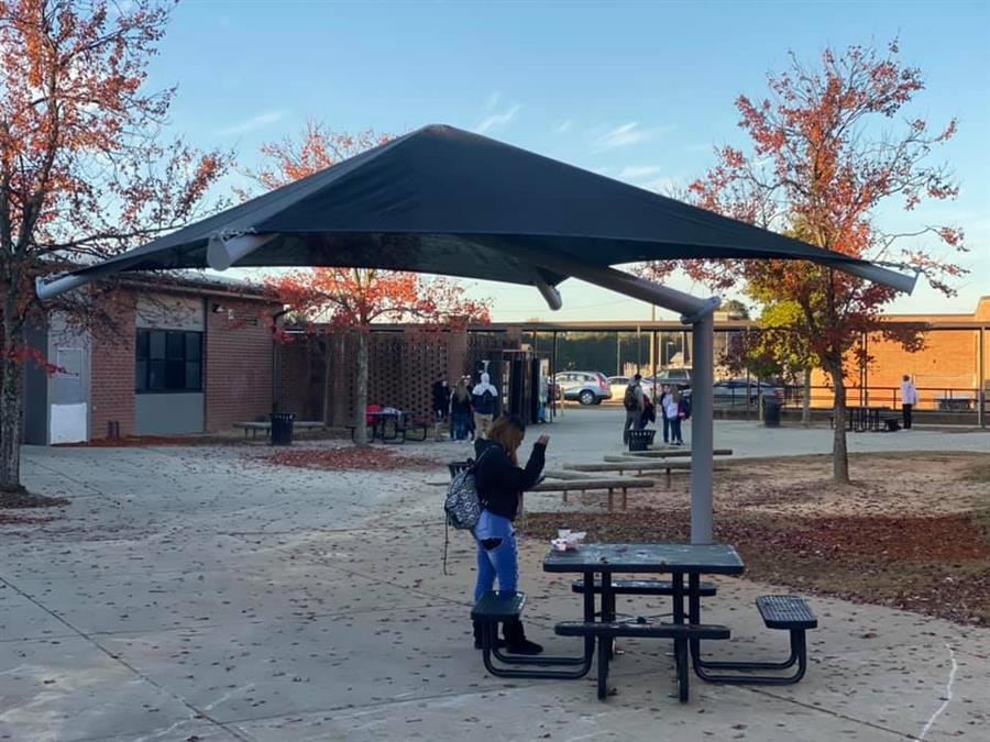 Courtyard Canopy