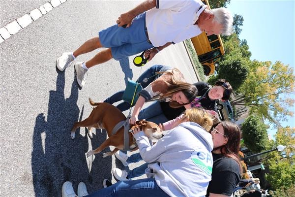 Students petting a dog