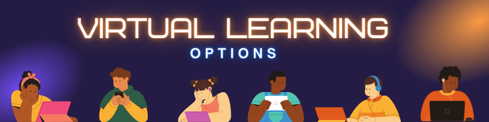 Virtual Learning Options