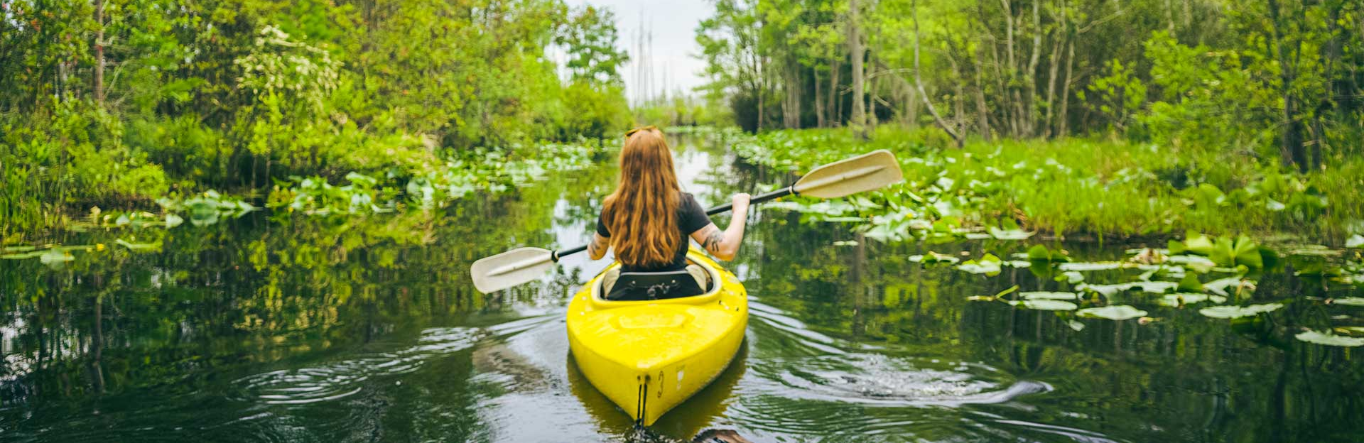 kayaker going through swamp