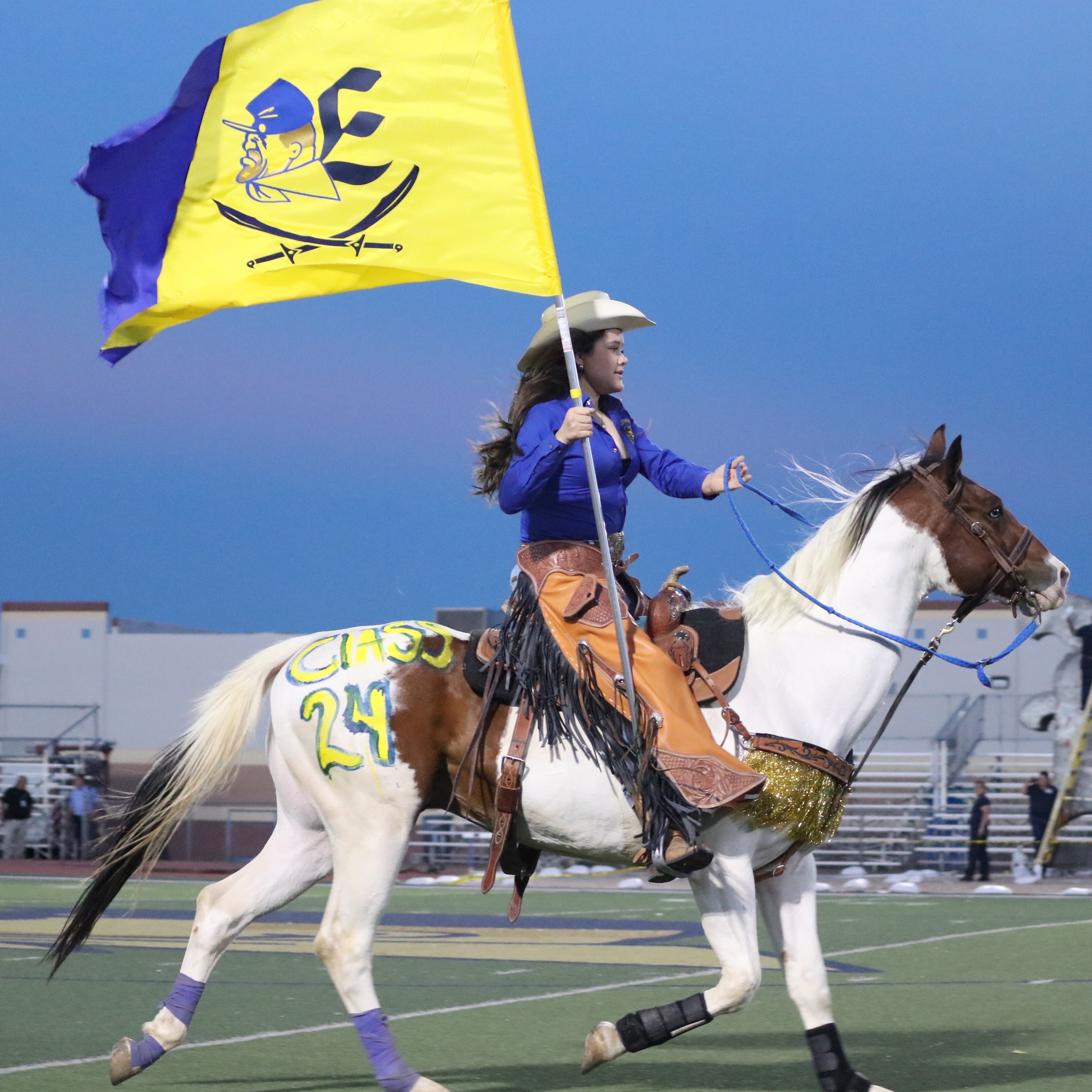 Eastwood High School Horse