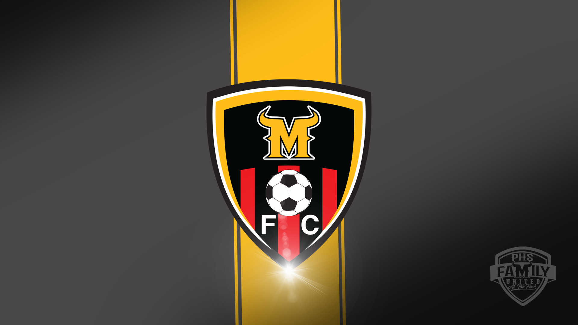 soccer logo