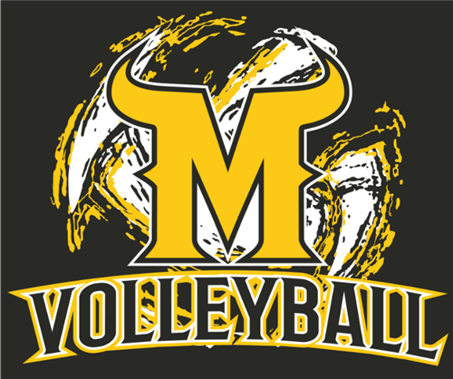 volleyball logo