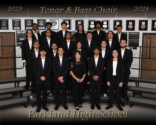 tenor & bass choir picture