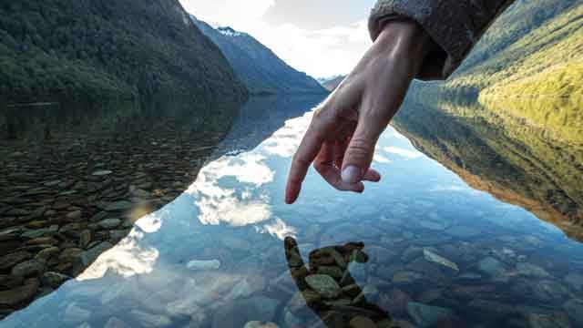 Unit 3: No Risk, No Reward