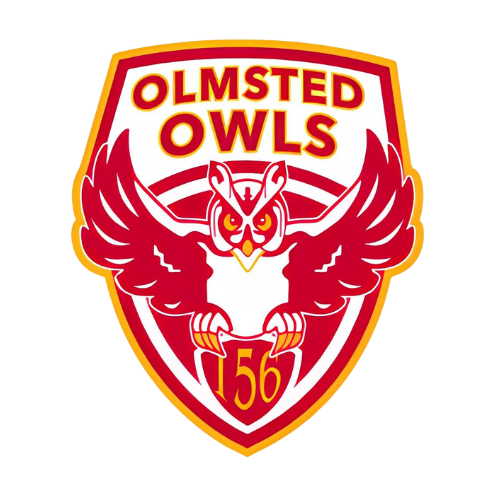 Owl Logo 156