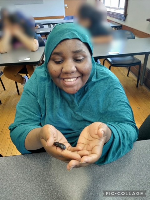 Students Doing STEM Activities