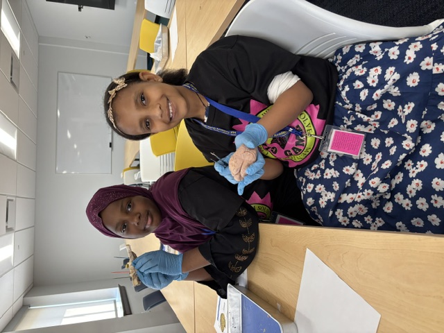 Students Doing STEM Activities