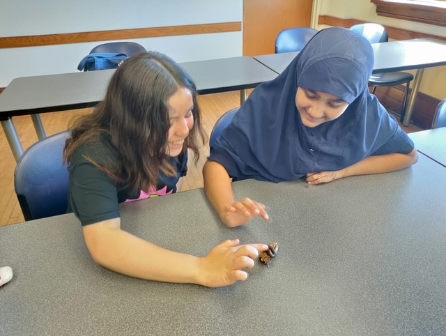 Students Doing STEM Activities