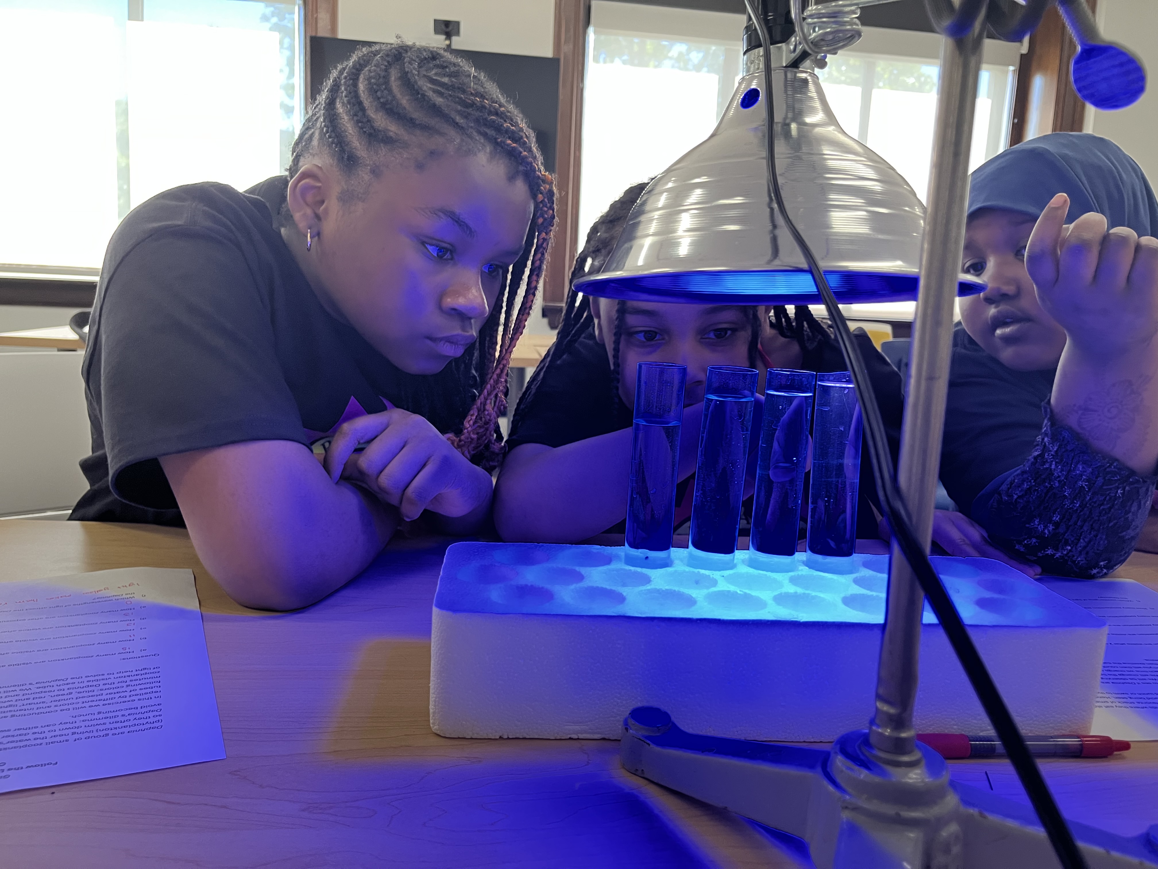 Students Doing STEM Activities