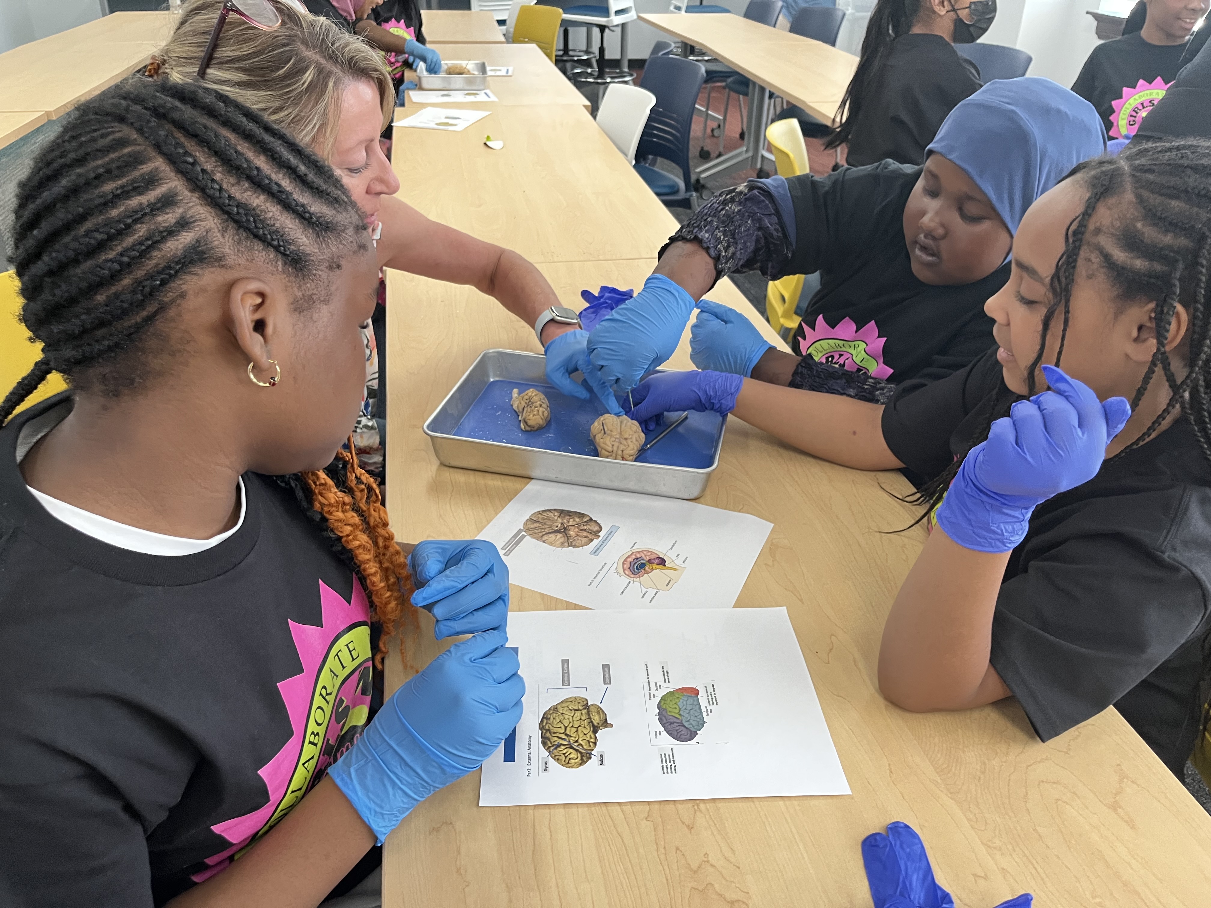 Students Doing STEM Activities