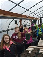 Greenhouse