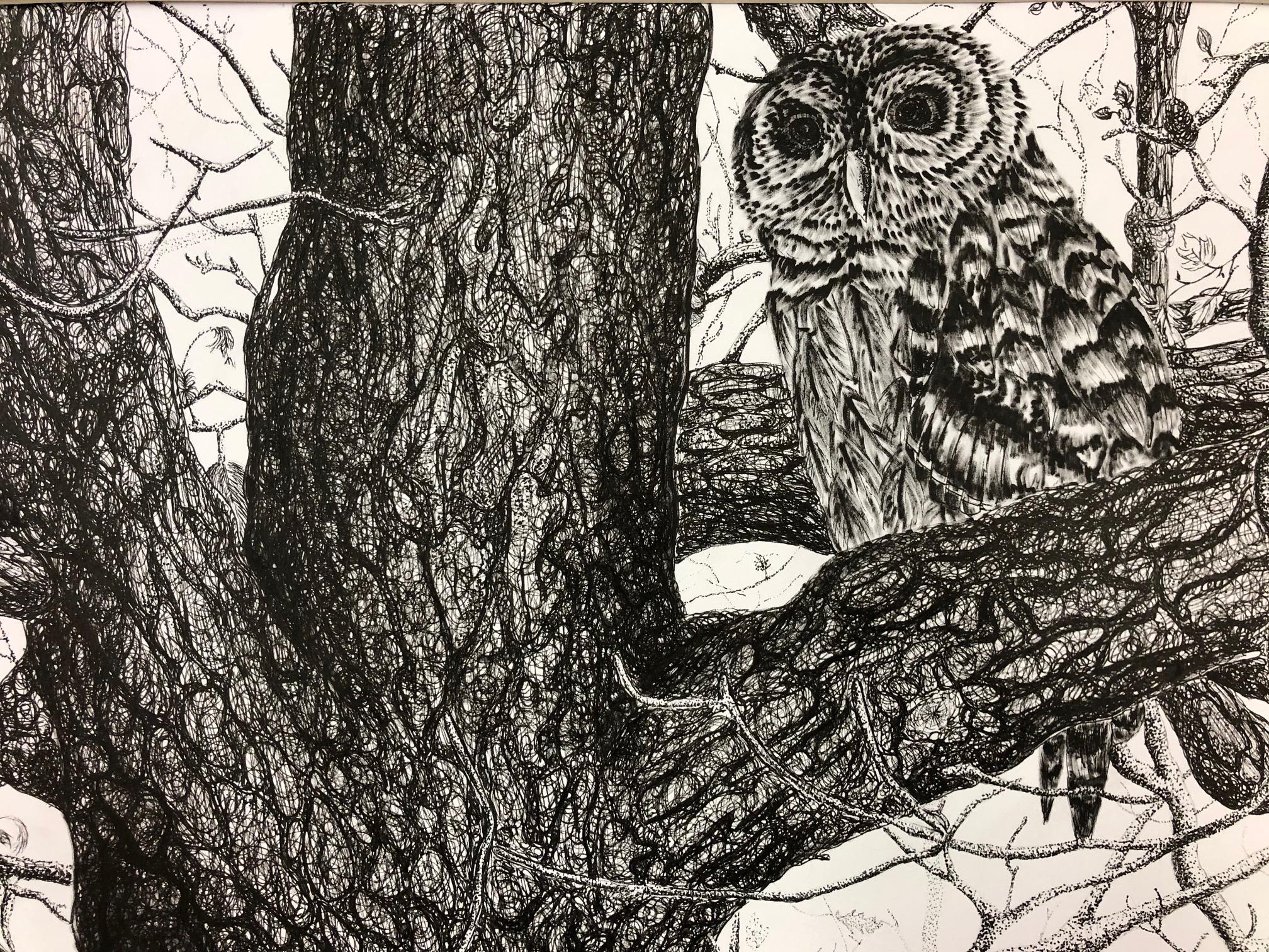 Pen and Ink Drawing