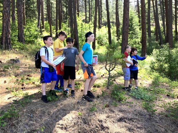 students in the forest