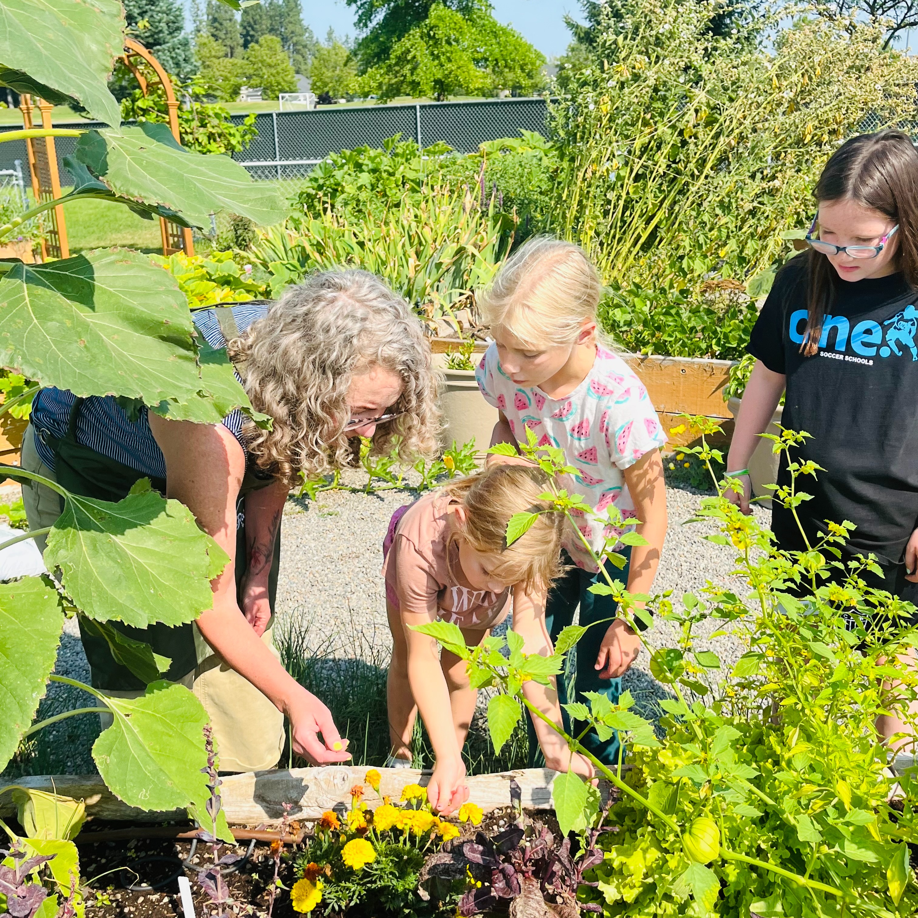 behrens helping students
