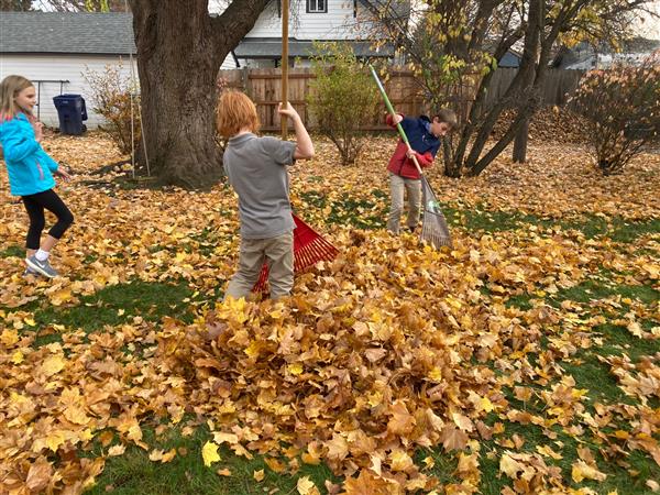playing in the ground
