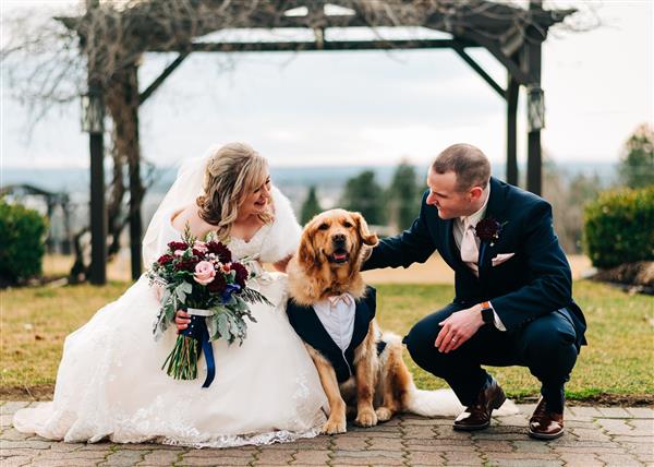 two persons getting married and petting a dog