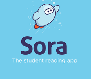 sora logo