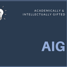 AIG Logo