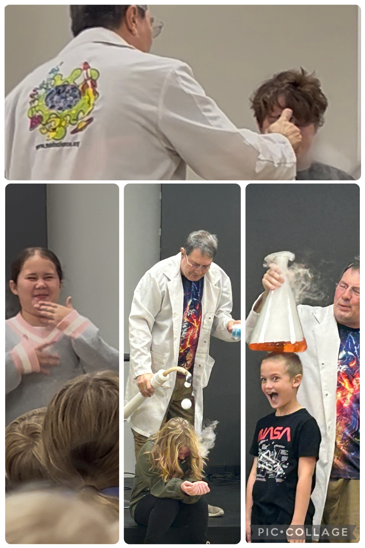 Science Fair Collage