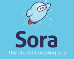 sora logo