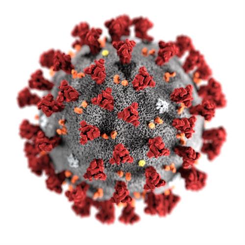 Coid 19 Virus