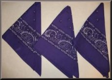 Black or Purple Bandana