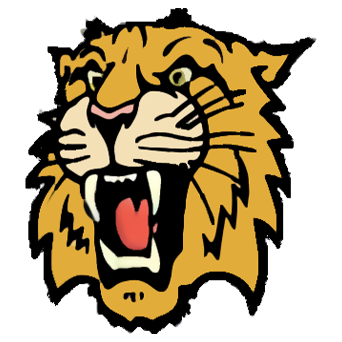 Parent Guides Western Rockingham Middle Parent Guides Western Rockingham Middle