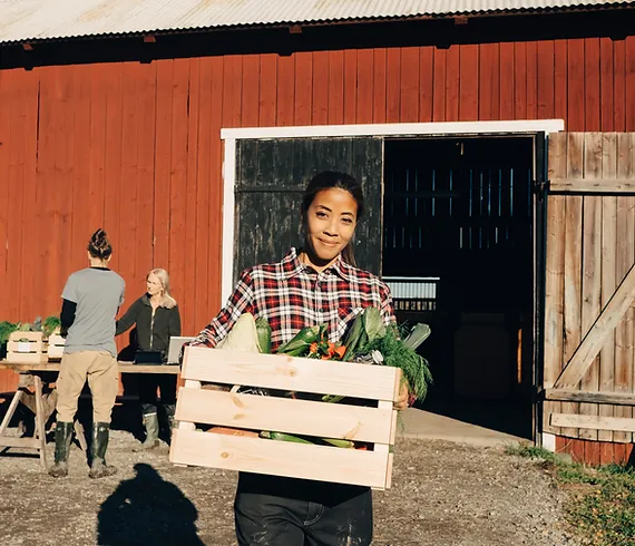 girl holding a box with his hands