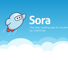 sora logo