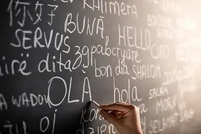 Chalkboard with words in Different Languages