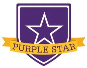 logo purple star