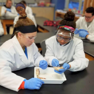 Two female career and technical education students in lab coats 
