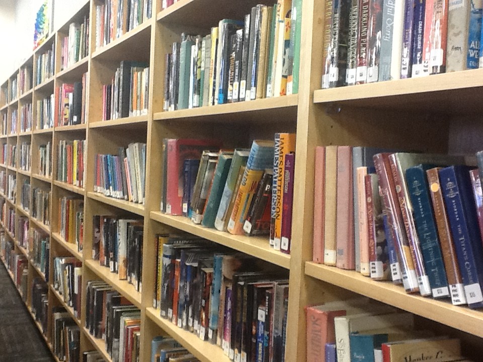 Picture of books in a library shelve