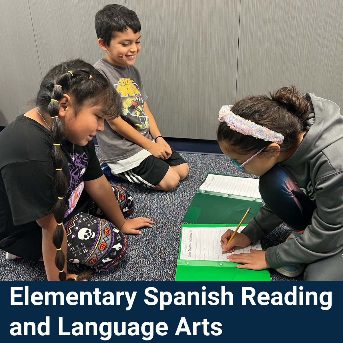 Elementary SRLA