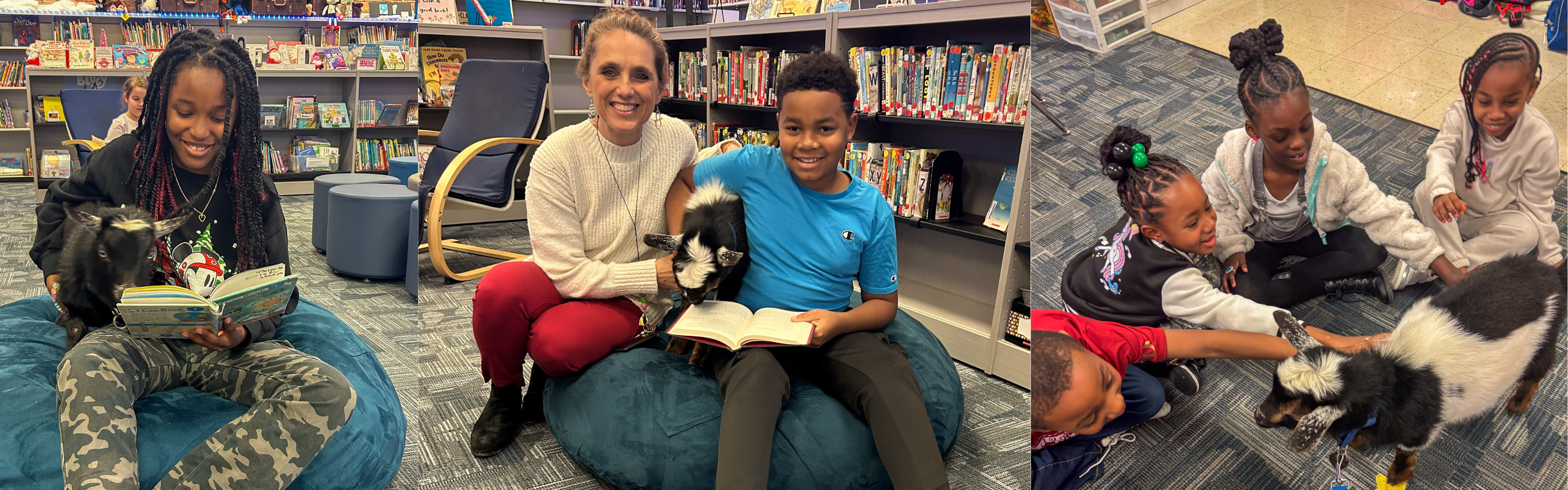 Bright Star Reading Goat Program