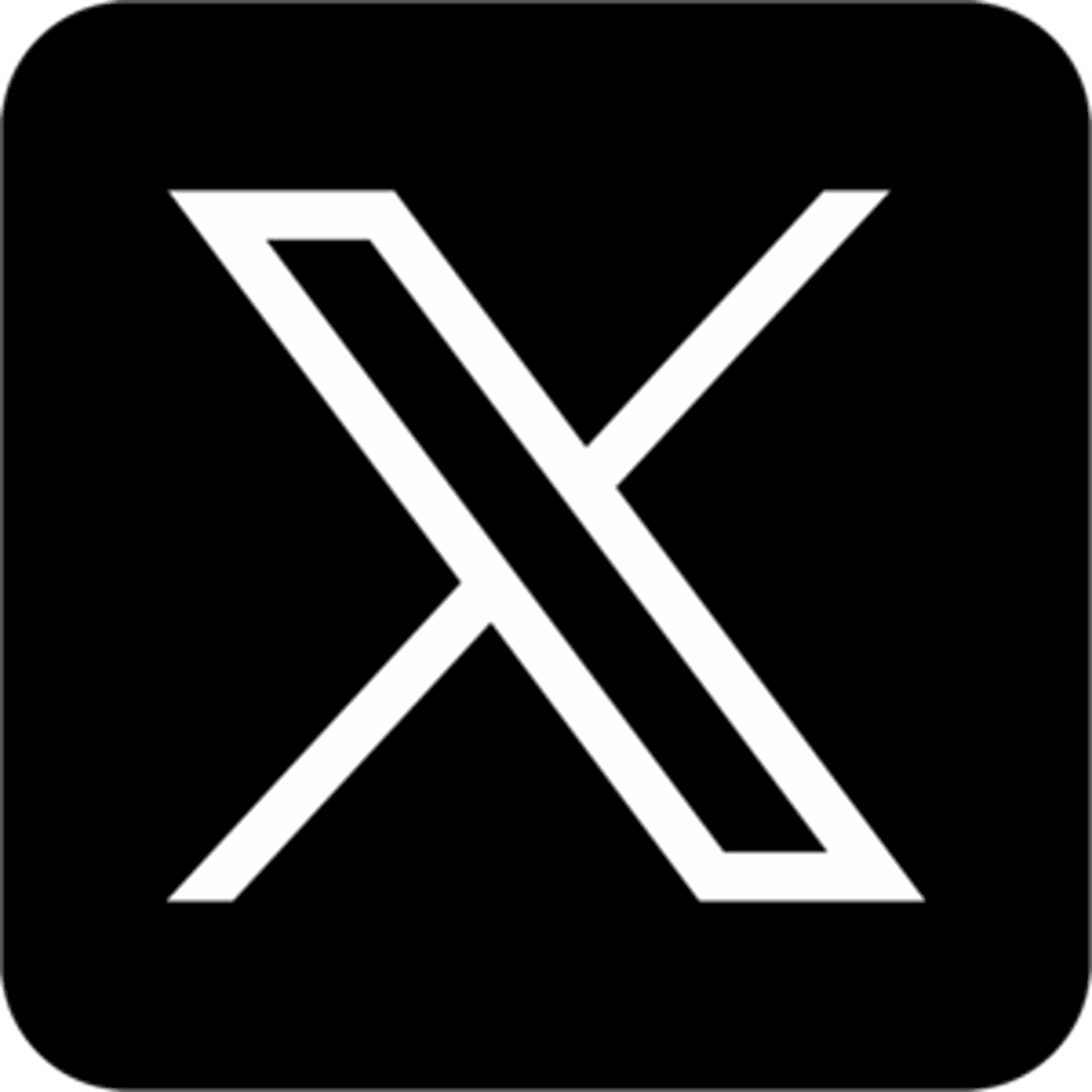 X (formerly known as Twitter) logo