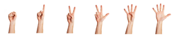 hand signals
