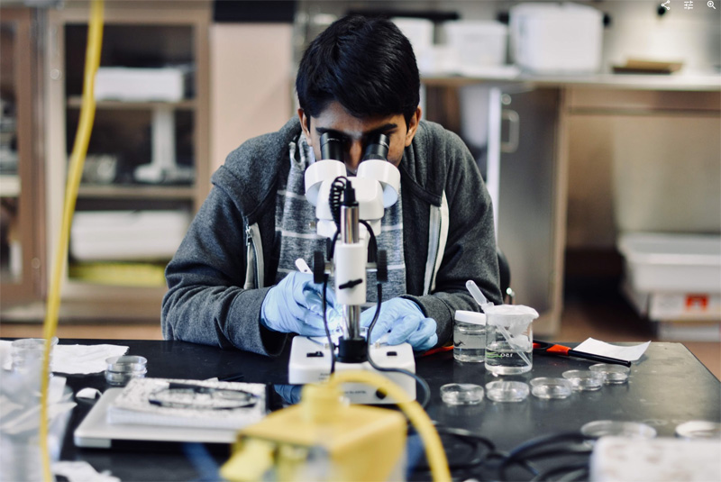 A stidents using a microscope