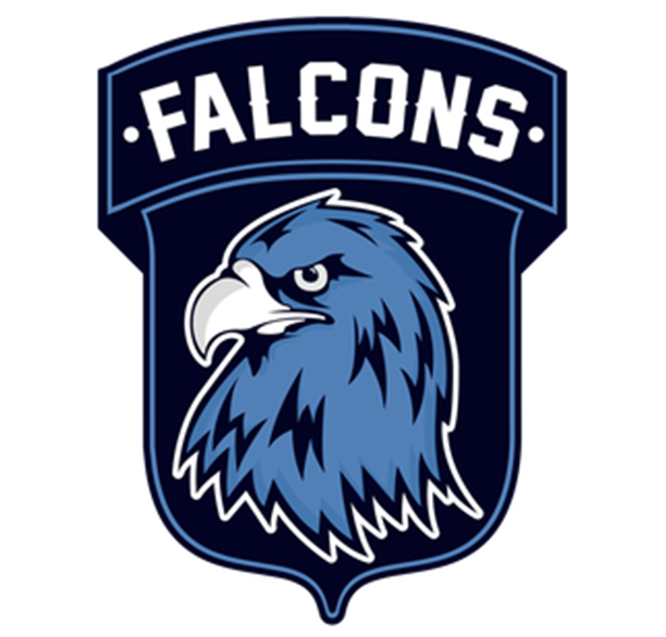 Falcons logo