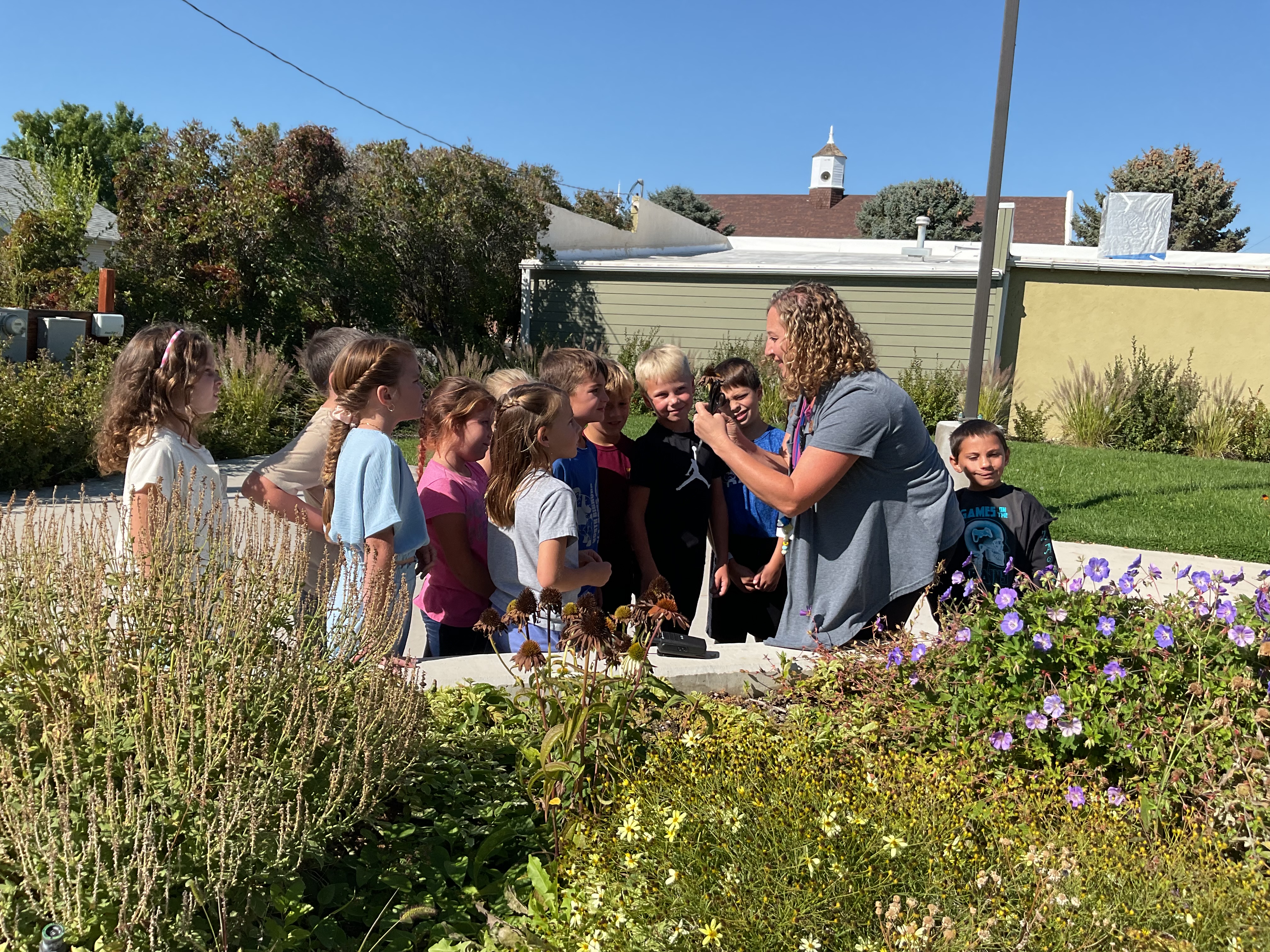 STEAM class - learning in the field